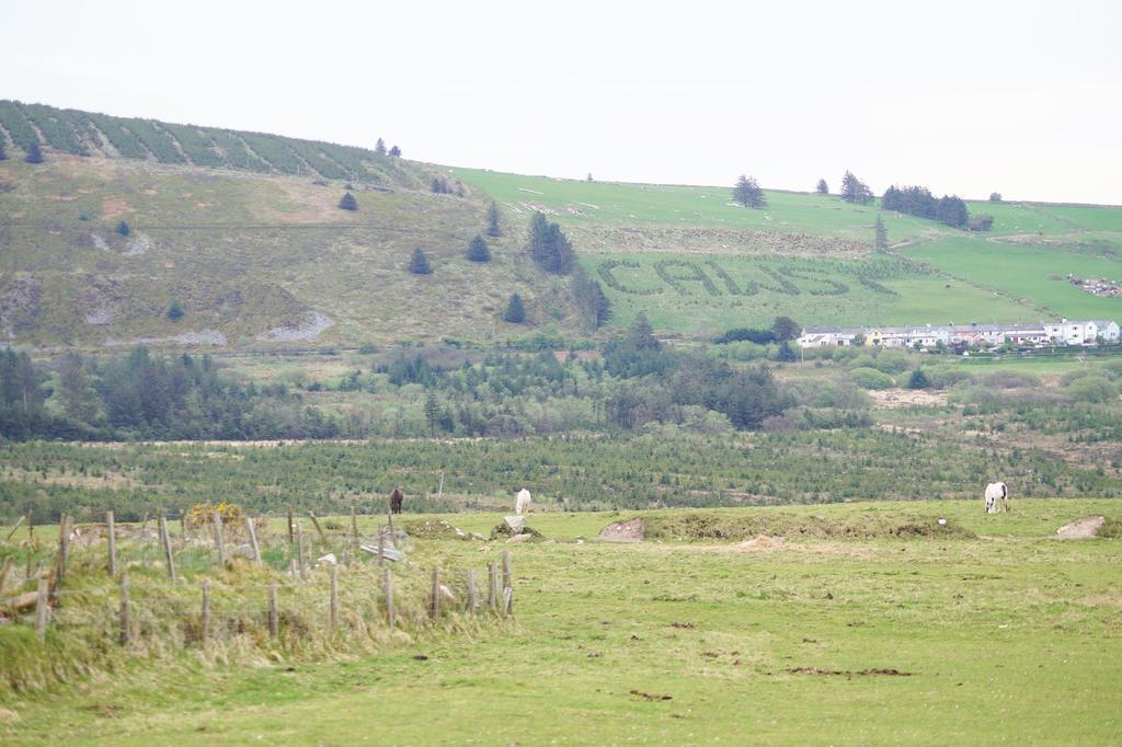 Bwthyn Trefdraeth Villa Newport  Exterior photo